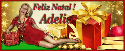 Feliz Natal - Poetisa Adelia Mateus - 17/12/2013