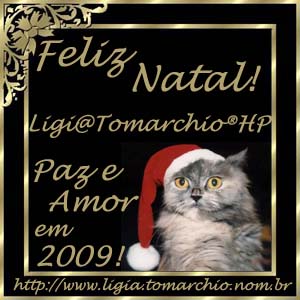 098 - Poetisa Ligia Tomarchio - 16/12/2008