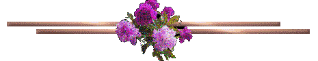 069.barra.flor.gif