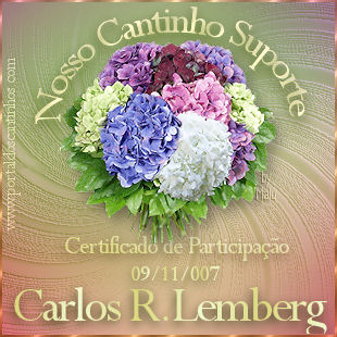 Nosso Cantinho Suporte - Certificado de Participao - 09/11/2007