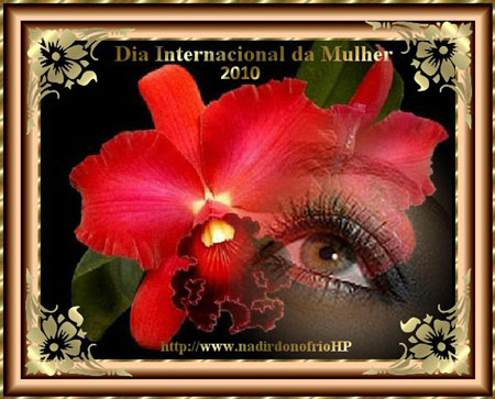178 Prmio: Award Dia Internacional da Mulher - Recebido em 07/03/2010
