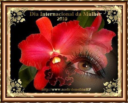 Dia Internacional da Mulher - Poetisa Nadir A. D'Onofrio - 08/03/2010