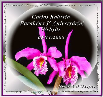 Orquídeas - Fotografia da Poetisa Nadir A. D'Onofrio