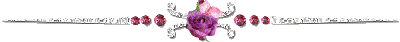 due.ary/004.barra.rosa.gif