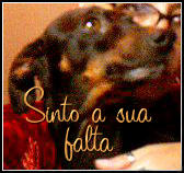 Mozart, cão de estimação da Poetisa