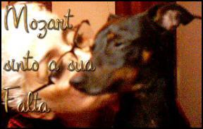 Poetisa Gina Zilli e o cão Mozart