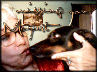 Poetisa Gina Zilli e Mozart, o cão de estimação