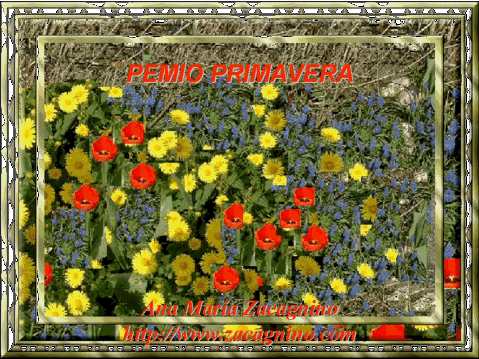 45 Premio: Primavera - Recebido em 16/09/2005