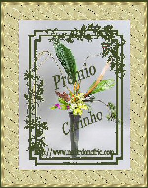 151 Prmio: Prmio Carinho - Recebido em 27/06/2007